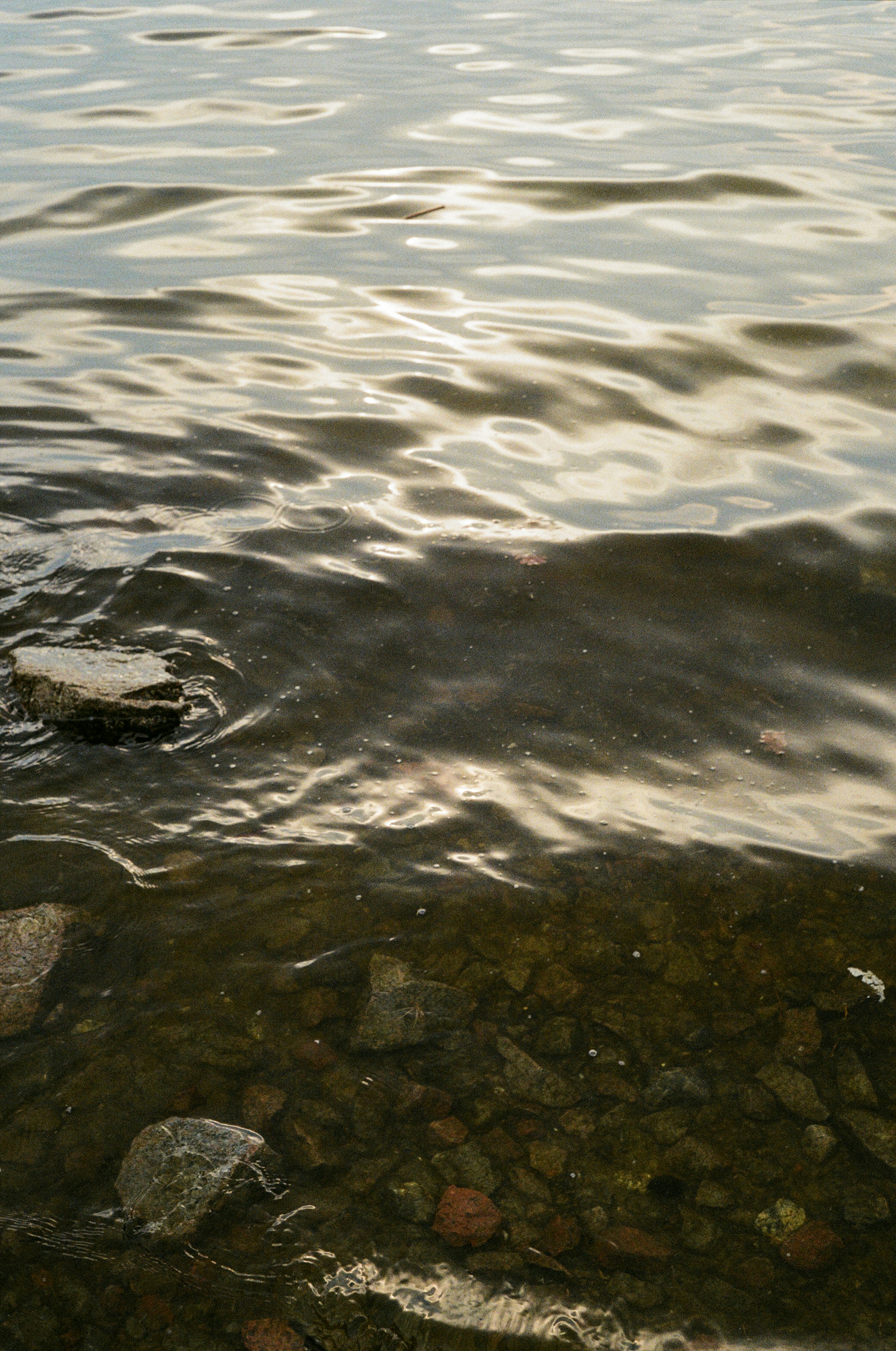 Photo by tannnpro