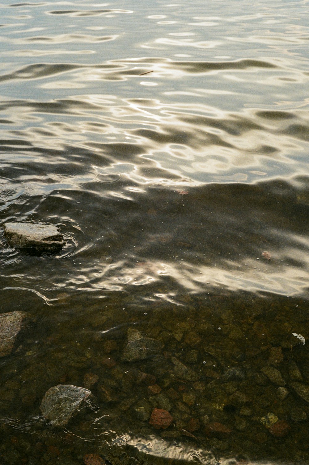 brown rock on body of water during daytime