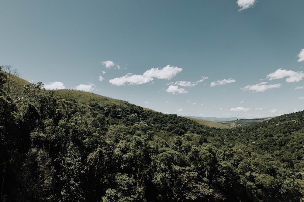 green trees on mountain under blue sky during daytime