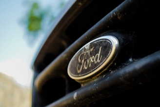 A close-up view of a Ford emblem on the grille of a vehicle. The emblem is black and silver with the Ford logo prominently displayed. The grille appears to be slightly weathered, and the background is softly blurred, suggesting an outdoor setting.