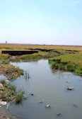 Stormwater runoff flowing into a protected stream, showing potential water contamination risks.