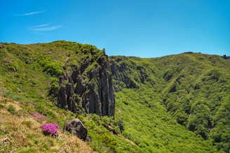 A vibrant landscape of Andhra Pradesh showcasing its natural beauty.