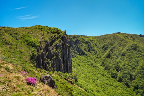 A vibrant landscape showcasing various terrains.