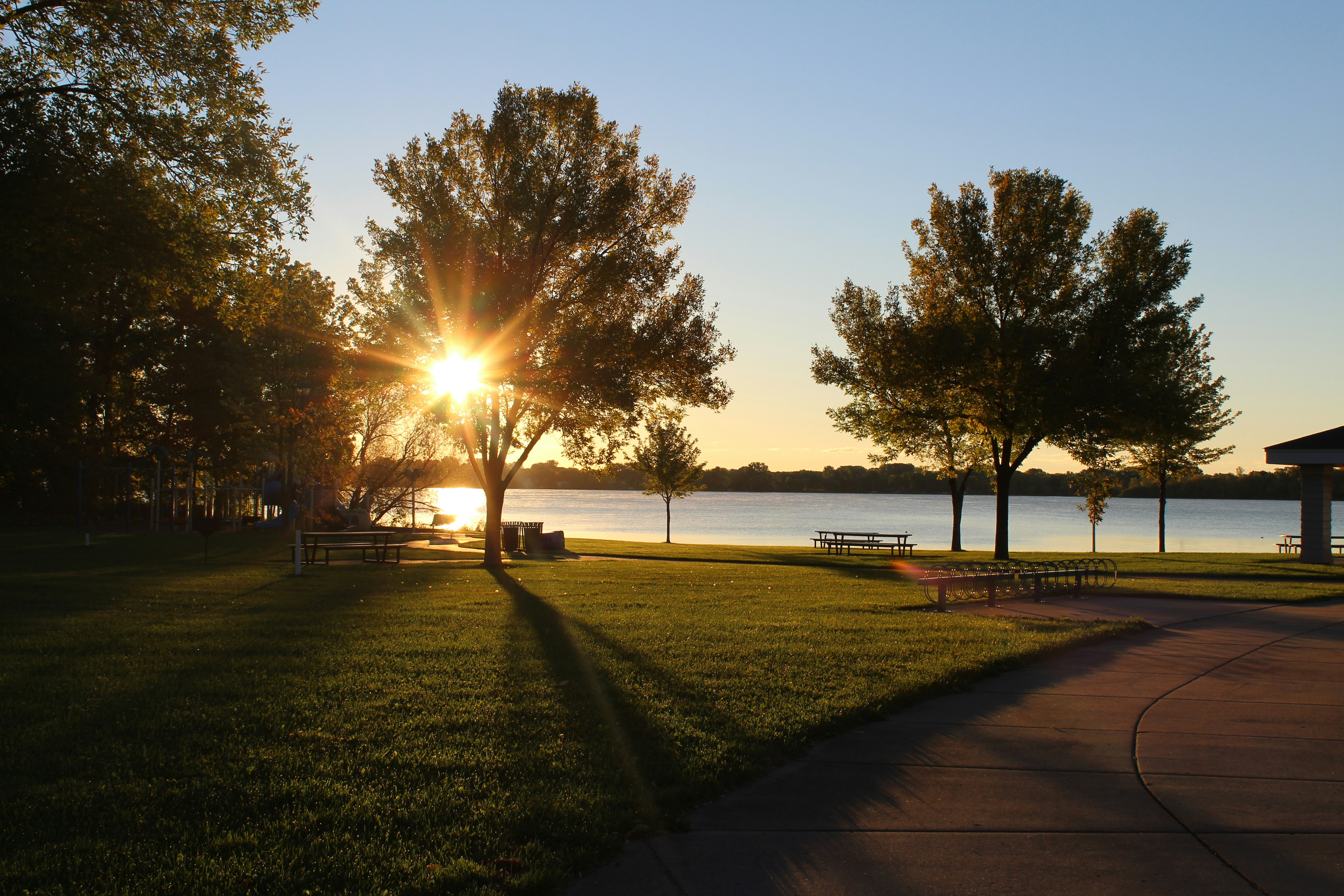 green grass field with trees during sunset