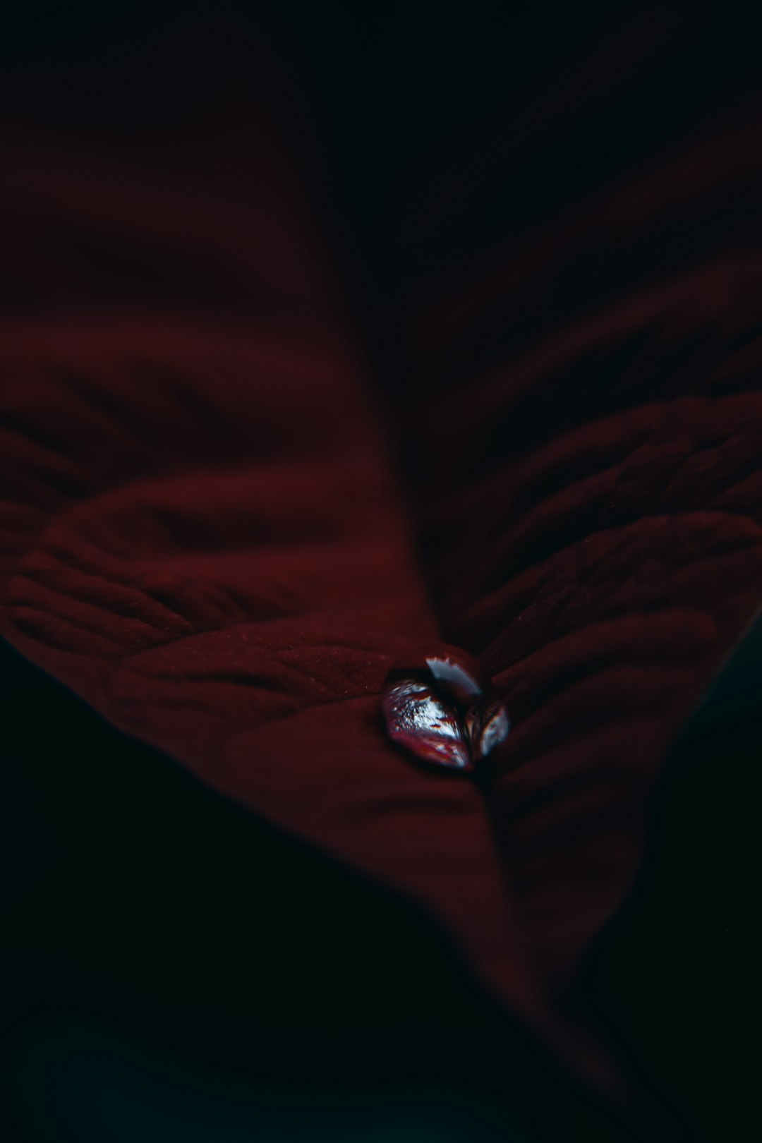 silver diamond ring on red textile