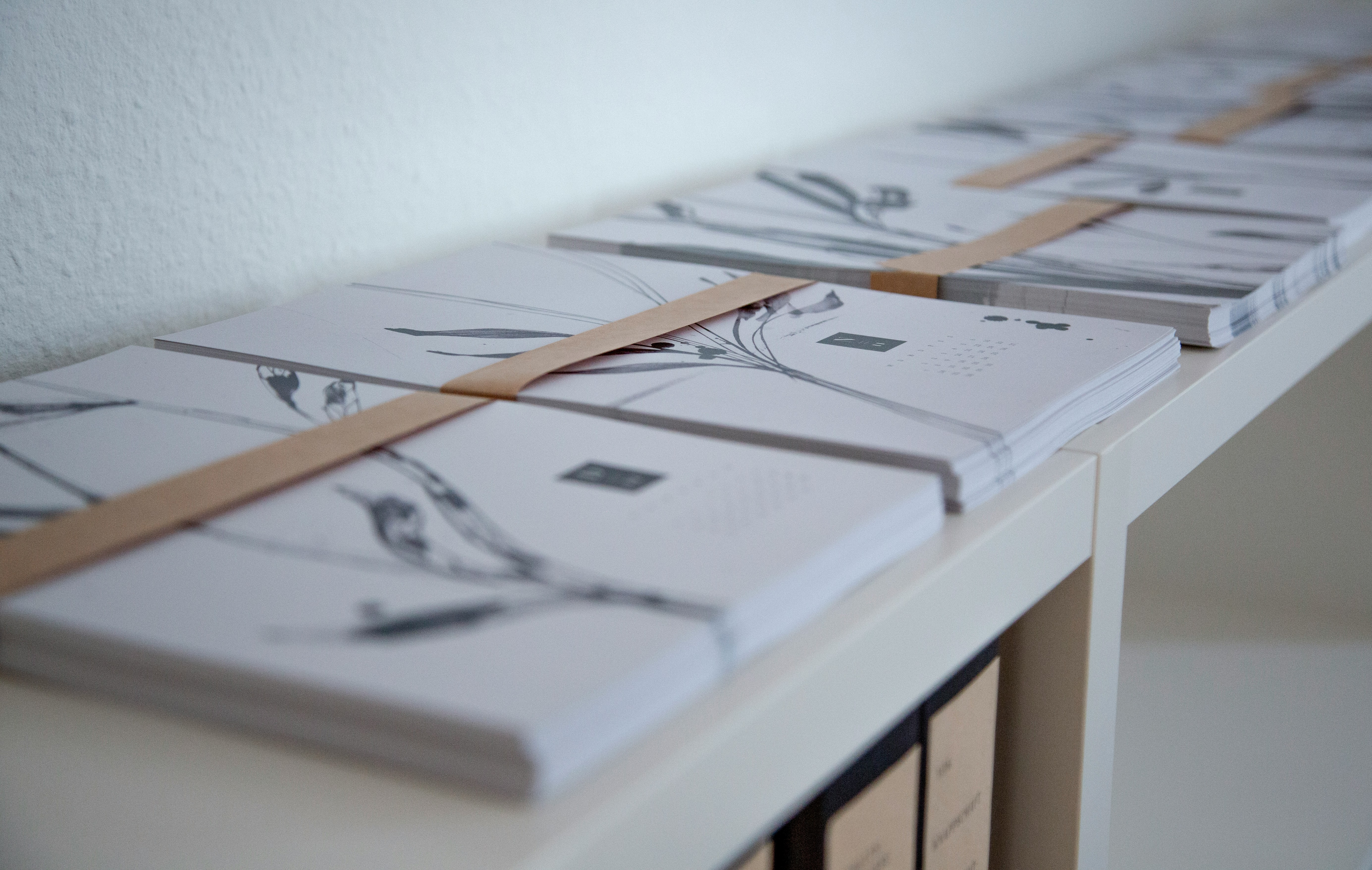 What Your Hands Know That Your Screen Cannot: The Case for the Physical Edition