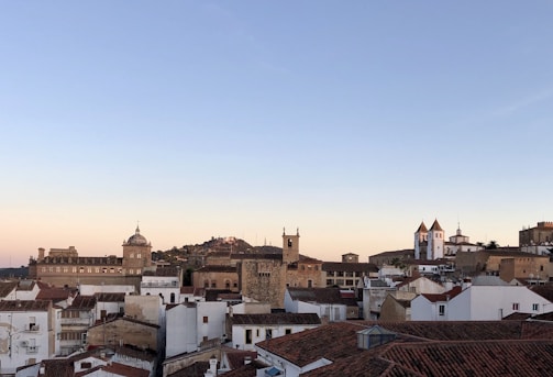 Historic cityscape featuring ancient architecture and cobblestone streets under a clear blue sky.