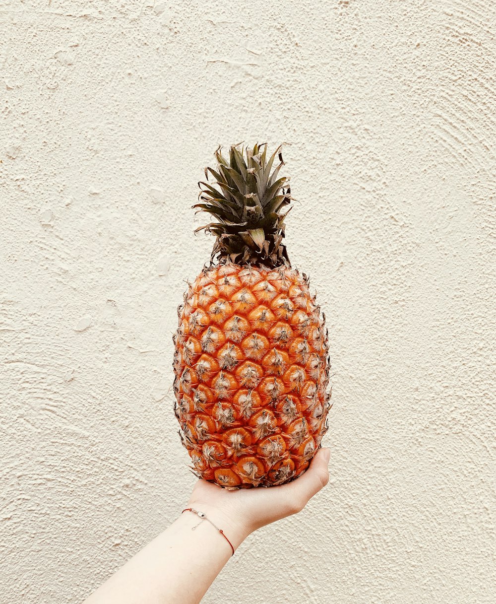 pineapple fruit on white wall