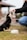 A puppy being trained with treats and positive reinforcement.