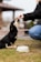 A small black and tan puppy sitting on the grass, eagerly reaching up to receive a treat from a person. The person is wearing a black jacket and blue jeans and is extending their hand towards the puppy. In the foreground, there is a white bowl on the ground. The background is slightly blurred, indicating an outdoor setting.