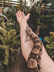 person holding brown and black snake