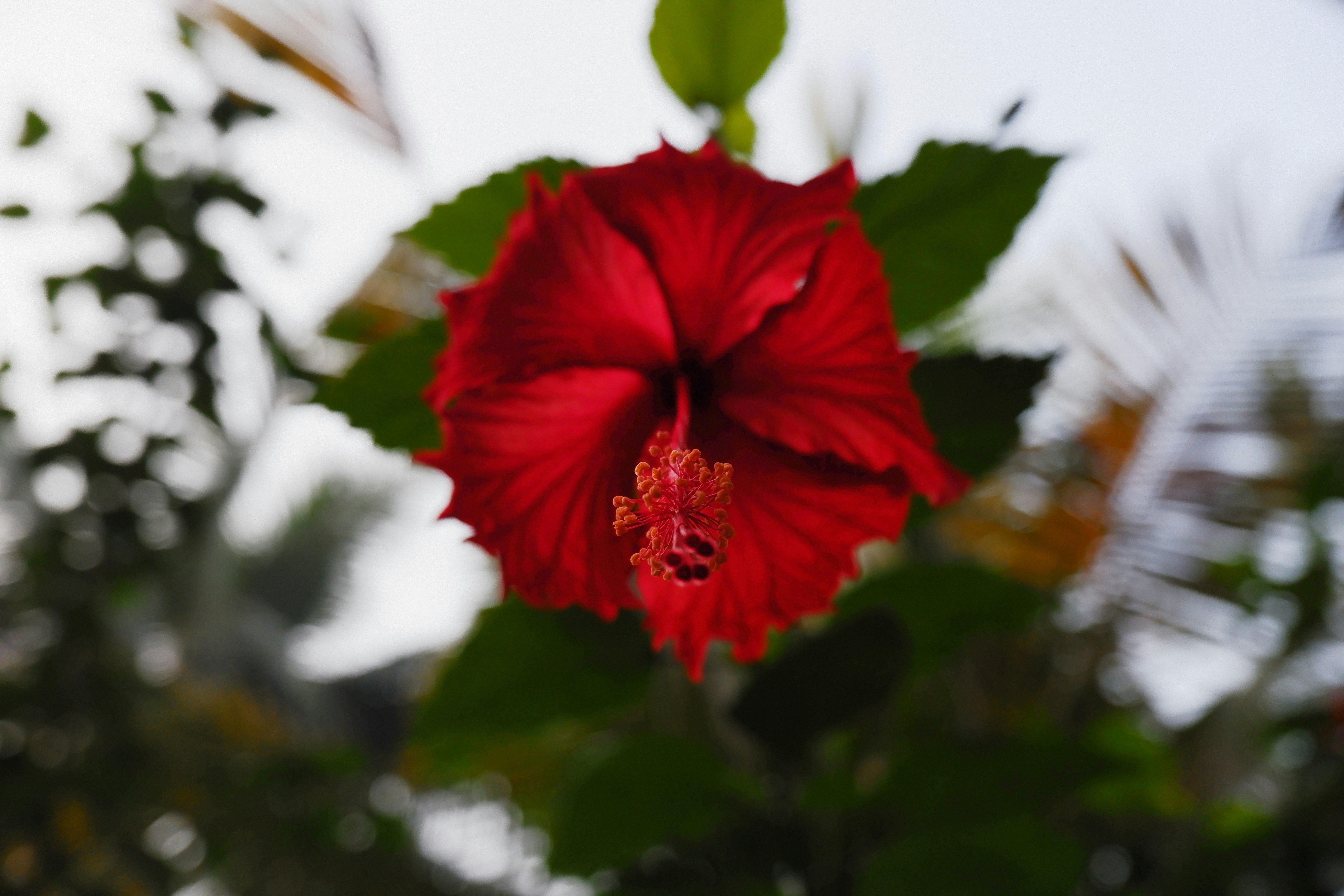 Photo by anandhudevaraj