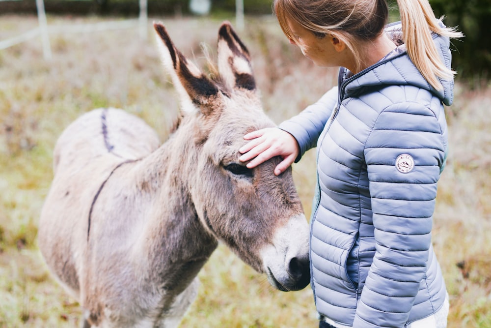 woman in black and white striped long sleeve shirt kissing brown horse during daytime