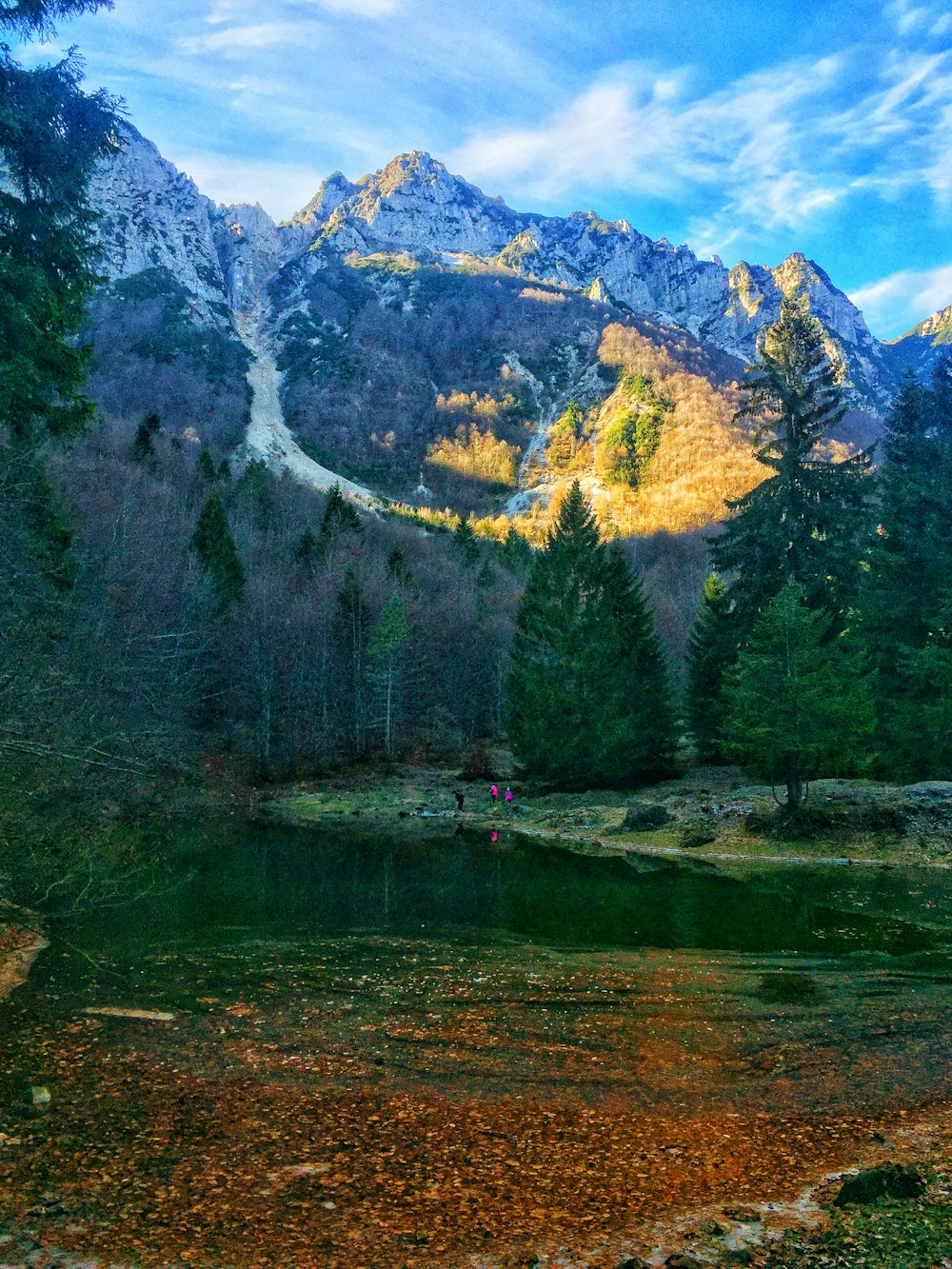 green trees near lake and mountain during daytime