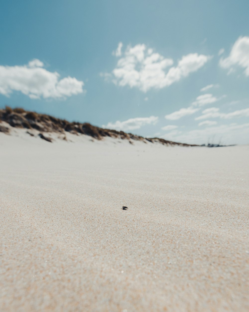 areia branca sob o céu azul durante o dia