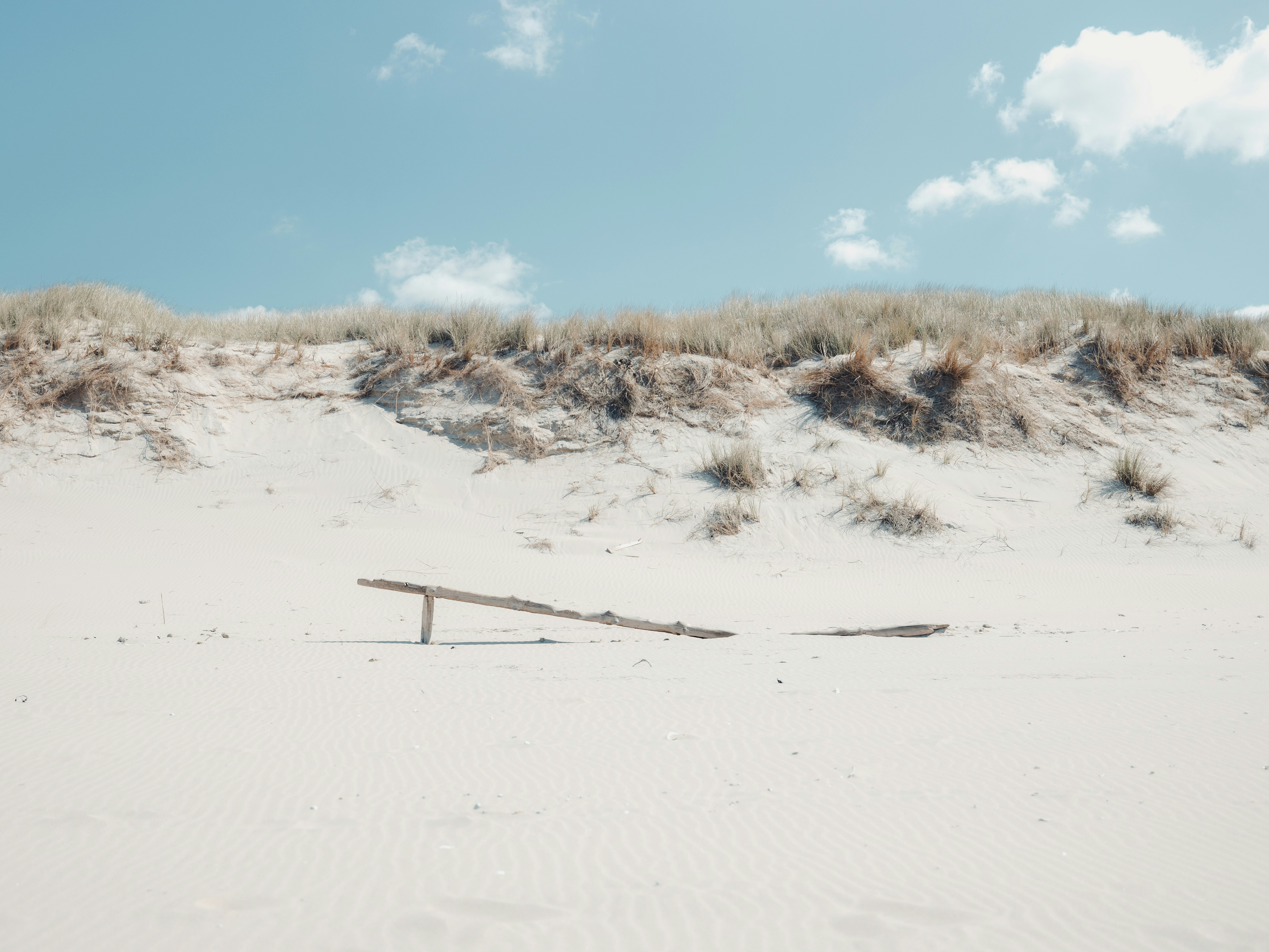 brown grass on white sand under blue sky during daytime