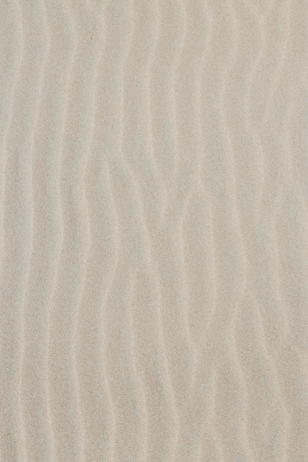 500개 이상의 모래 질감 사진 [Hd] | Unsplash에서 무료 이미지 다운로드