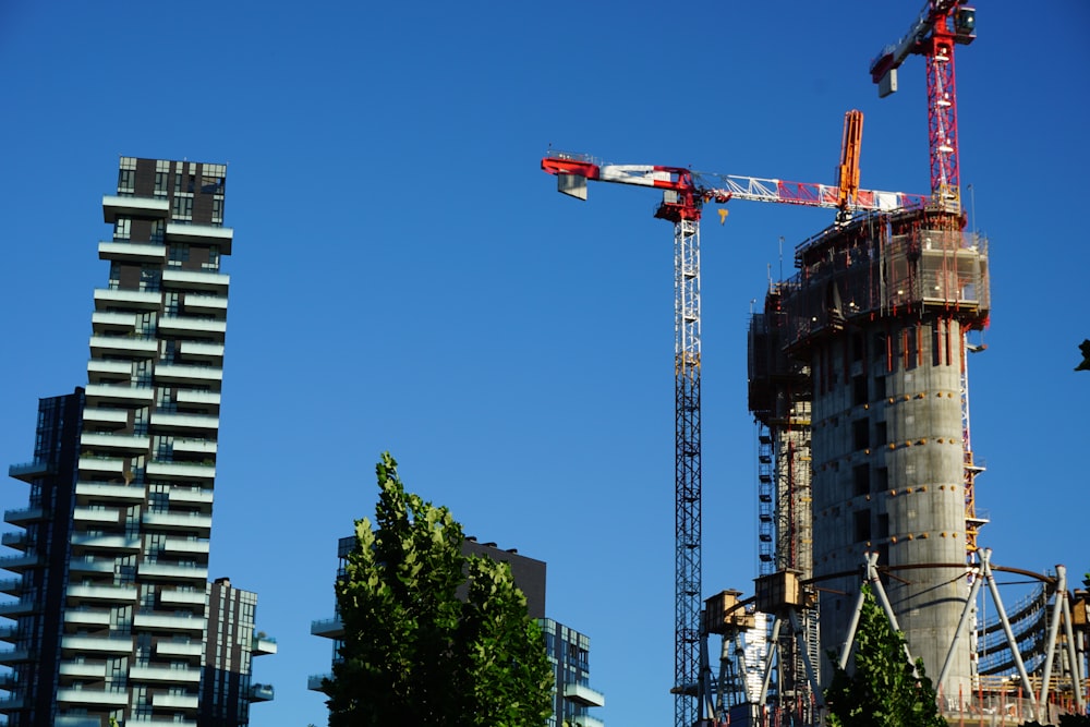 red and white crane near green trees during daytime