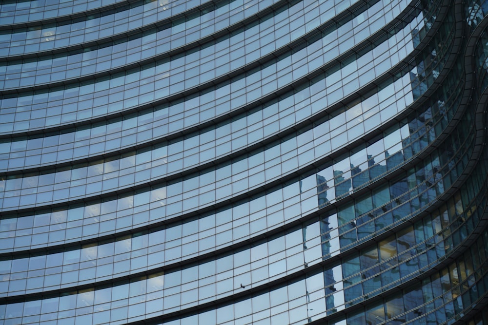 white and black glass walled building