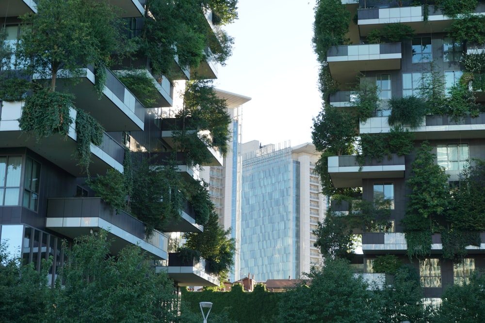 green trees near white concrete building during daytime