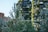Vertical gardens adorn the facade of a modern building, blending architecture with lush greenery. Several balconies are heavily planted with a variety of shrubs and trees, creating an urban oasis. In the foreground, leafy trees partially obscure the view, adding to the overall green aesthetic.