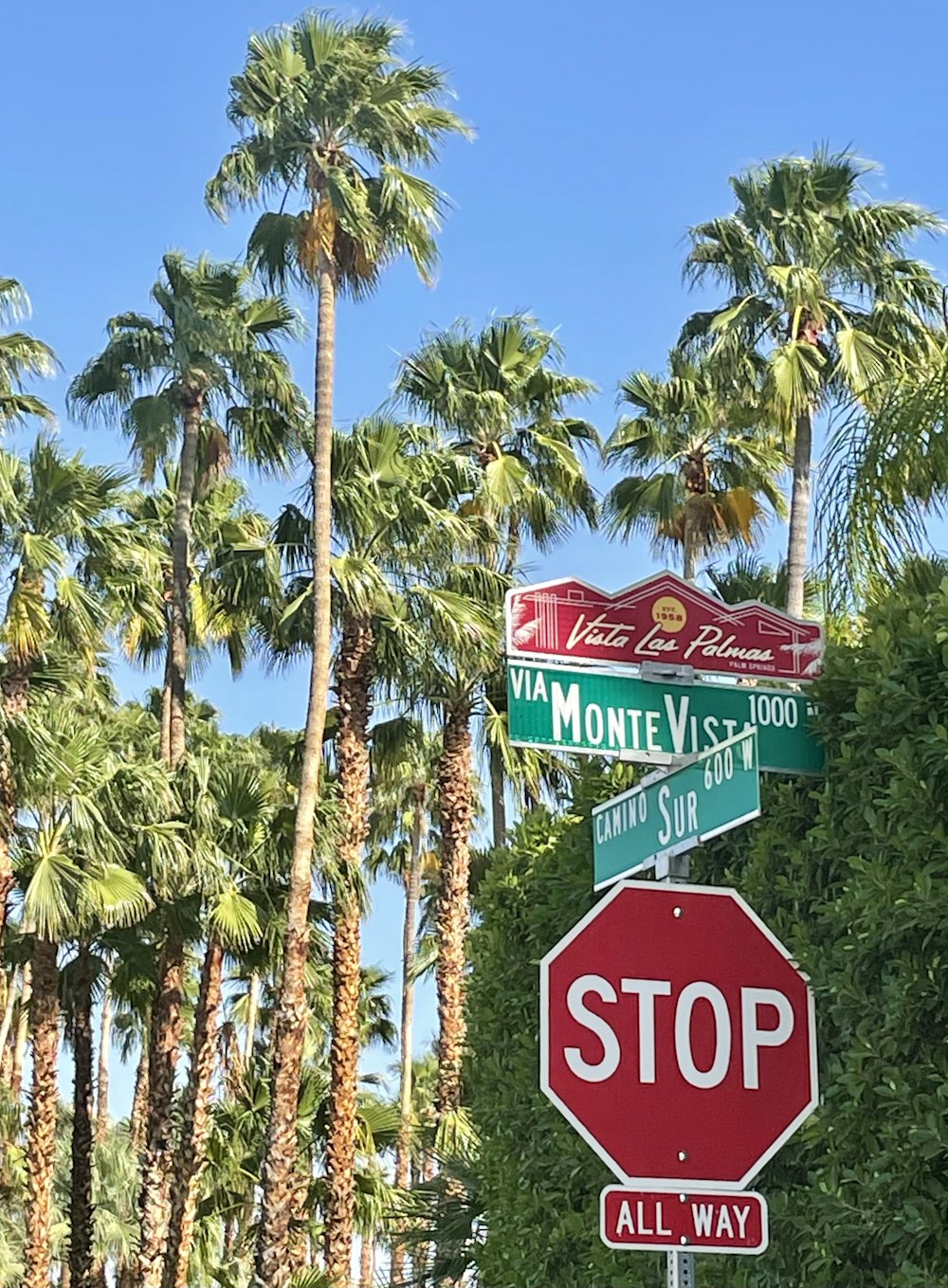 red and white stop sign near palm trees during daytime