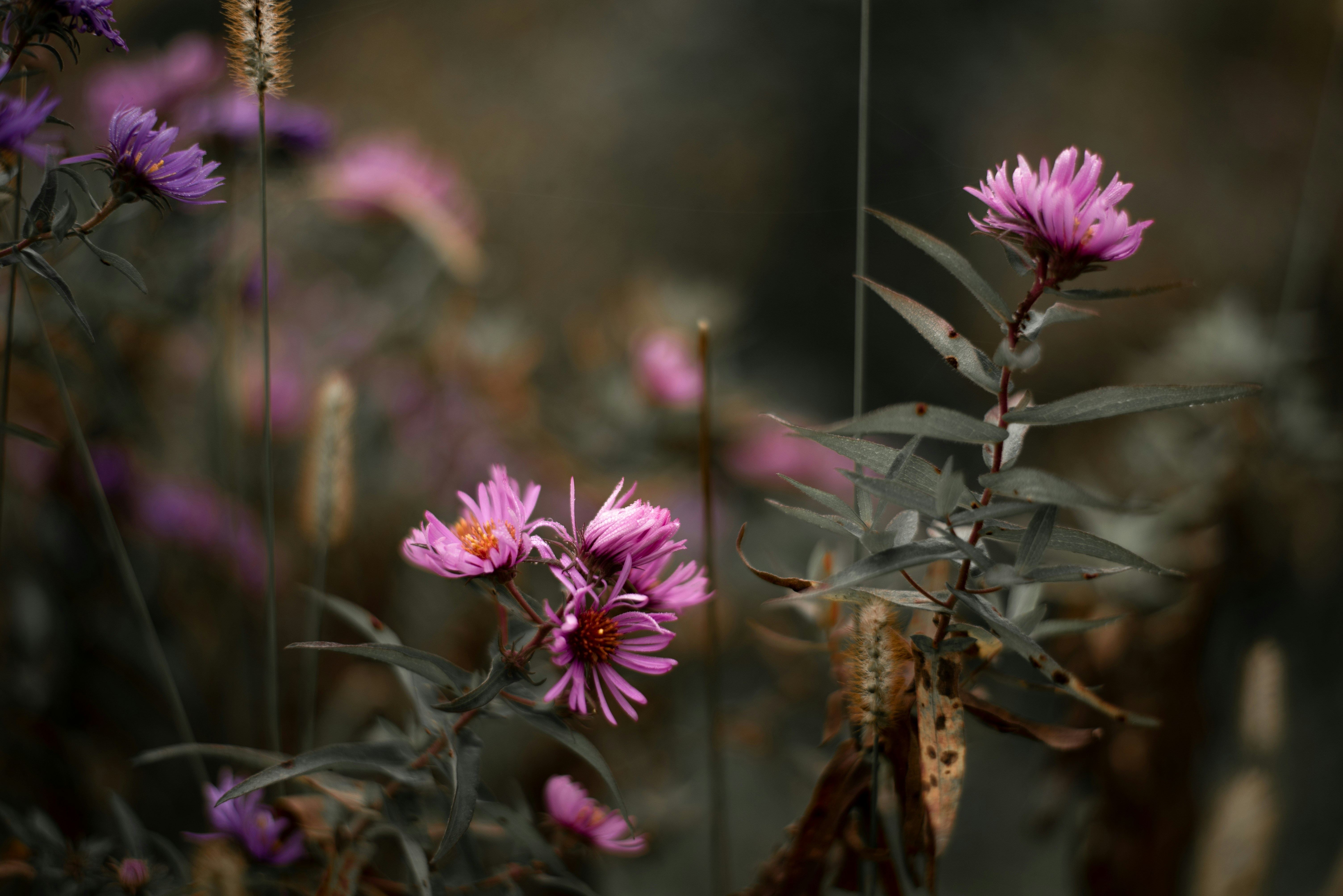 Photo by ottawagraphics