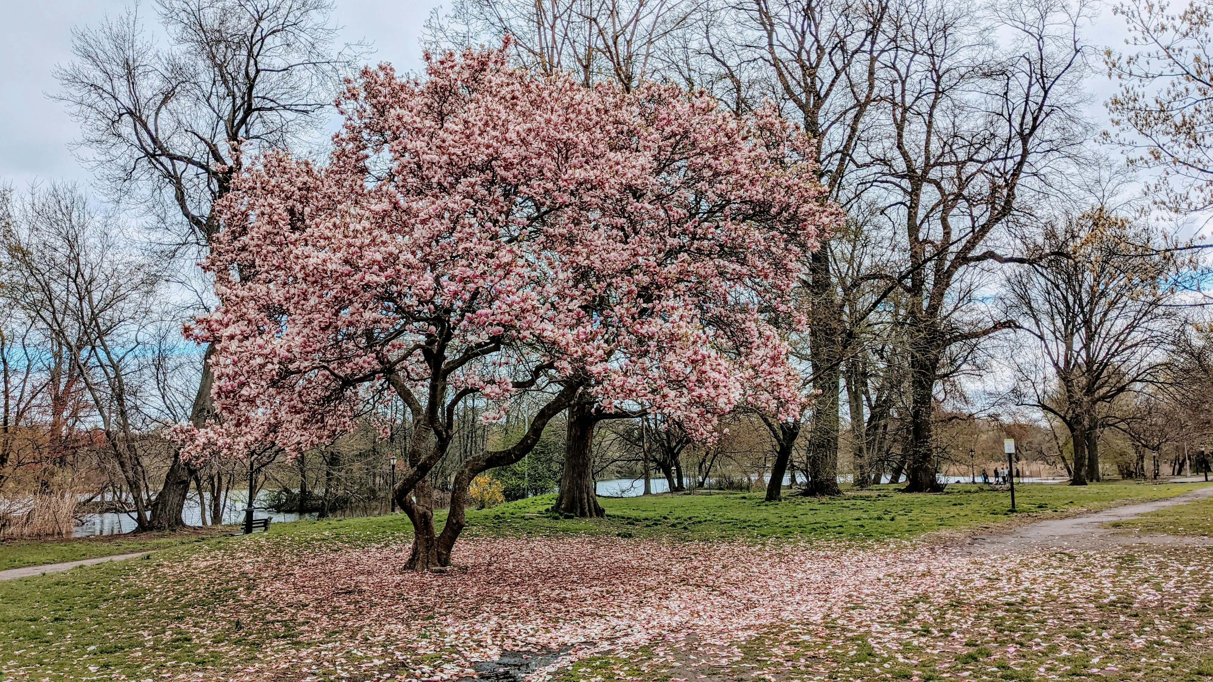 Photo by atharvapatil