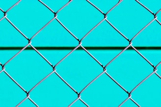 blue metal fence with chain link fence