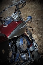 A close-up view of a beautifully detailed motorcycle featuring a shiny chrome engine and a red fuel tank. The brand emblem 'Drag Star' is visible on the side of the tank, highlighting the motorcycle's classic aesthetic. The handlebars and mirrors reflect the natural outdoor environment, with dry leaves scattered on the ground in the background.