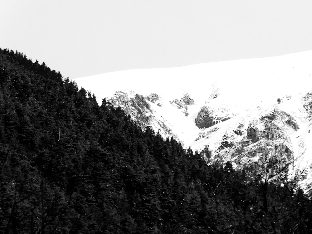 snow covered mountain during daytime