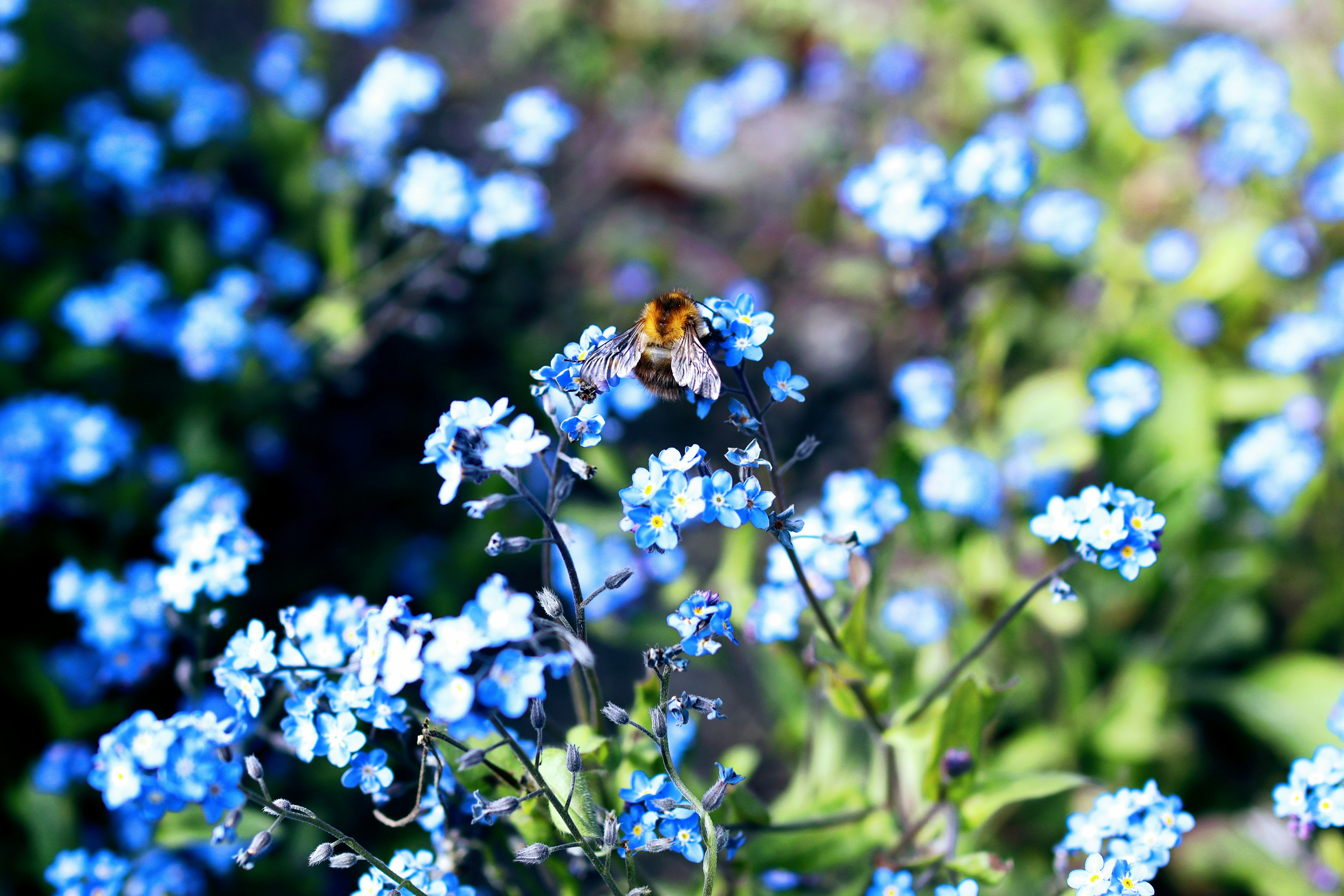 Photo by gabriellenca