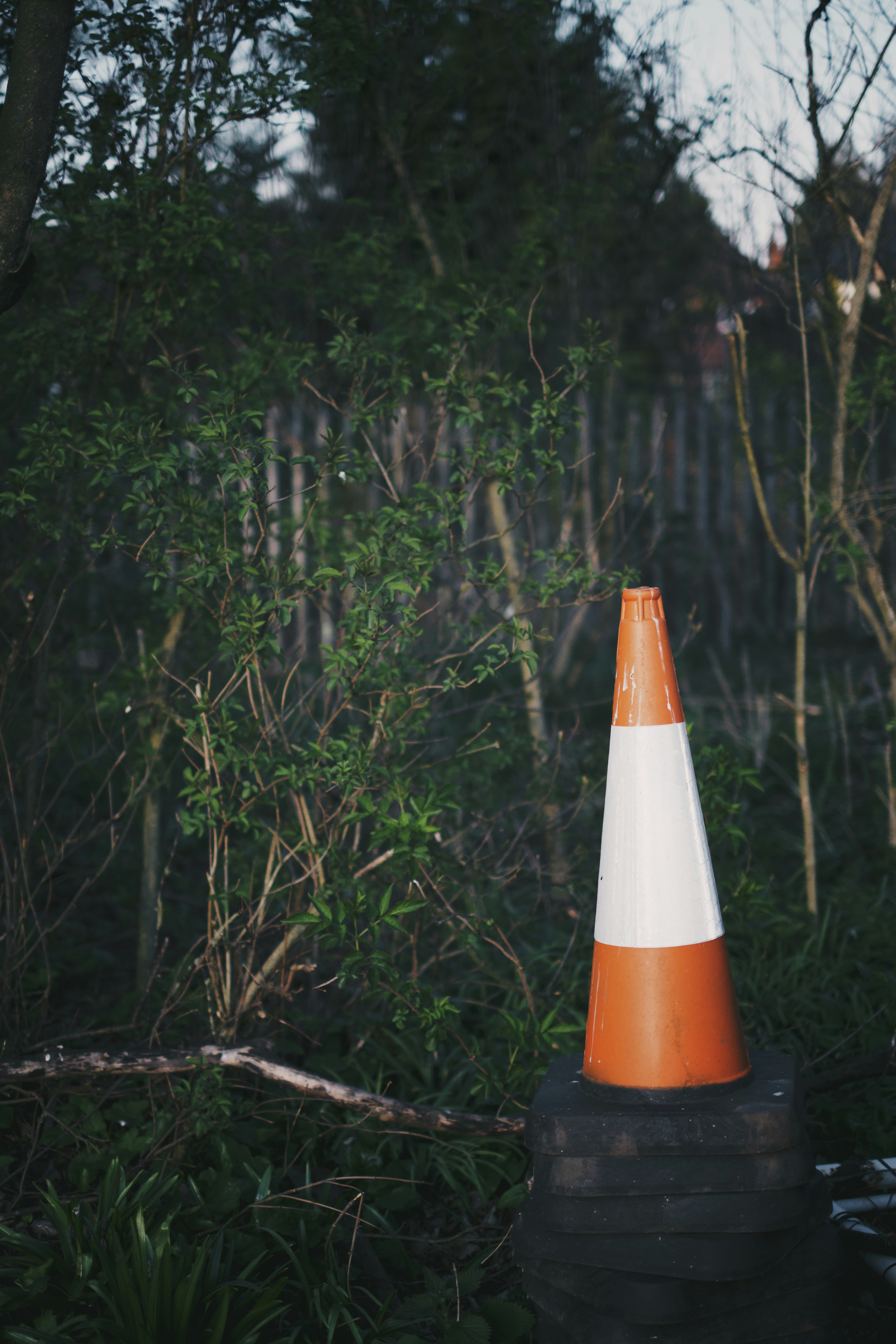 orange and white cone on ground