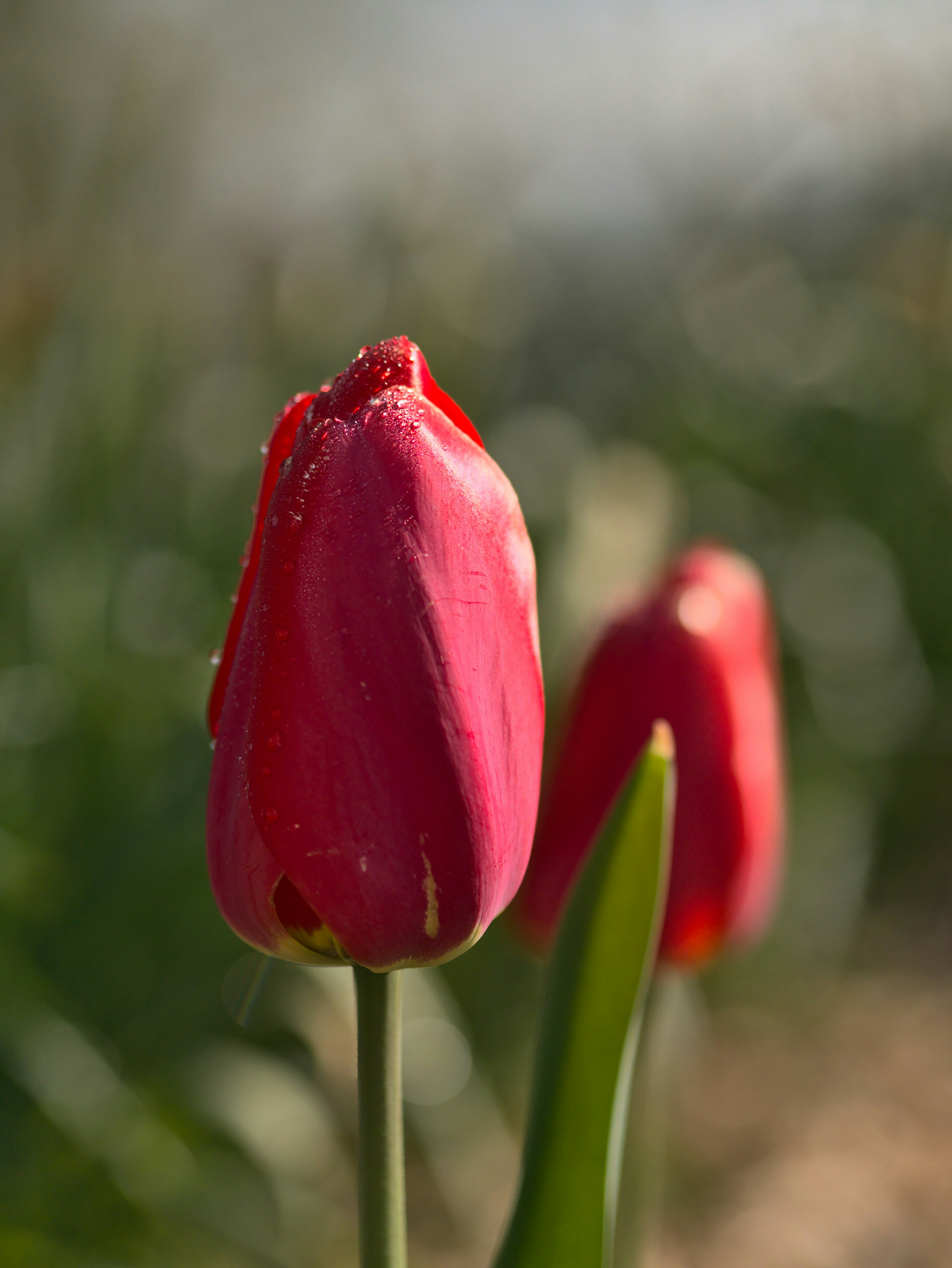 Photo by kadykov