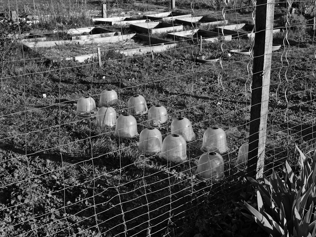 Garden Protection Mesh