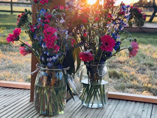 Bright and colorful flower seeds arranged in small glass jars with sunlight filtering through.