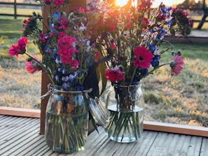 Bright and colorful flower seeds arranged in small glass jars with sunlight filtering through.