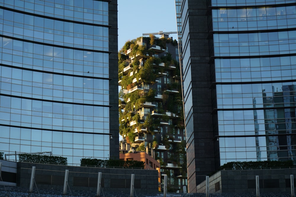 green tree in front of building during daytime