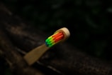 A close-up view of a wooden toothbrush with brightly colored bristles including green, yellow, blue, and red. The background is natural and blurred, possibly depicting a tree branch or dark foliage.