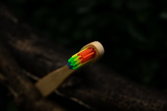 A close-up view of a wooden toothbrush with brightly colored bristles including green, yellow, blue, and red. The background is natural and blurred, possibly depicting a tree branch or dark foliage.