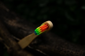 A close-up view of a wooden toothbrush with brightly colored bristles including green, yellow, blue, and red. The background is natural and blurred, possibly depicting a tree branch or dark foliage.