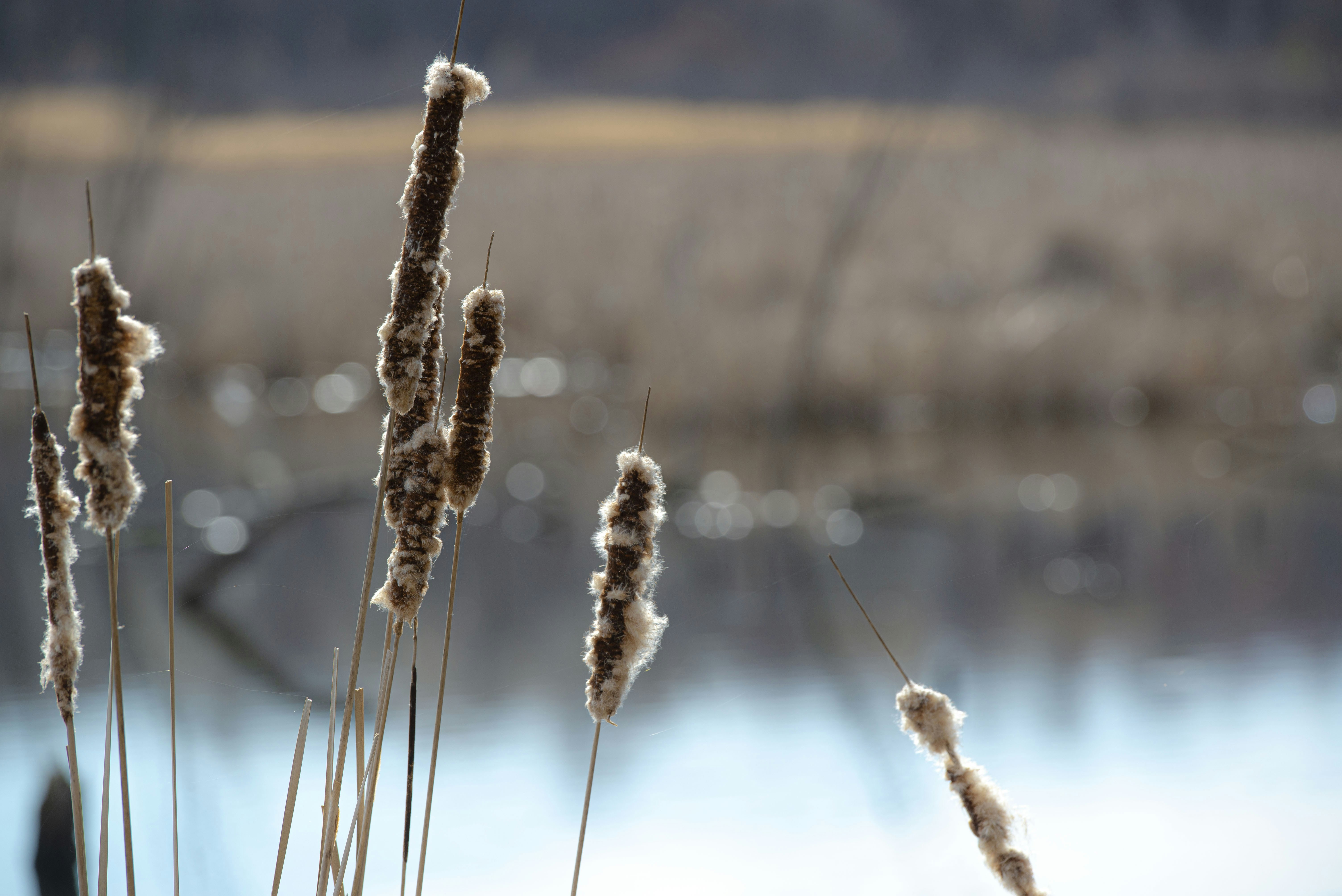 Photo by alainbouchard