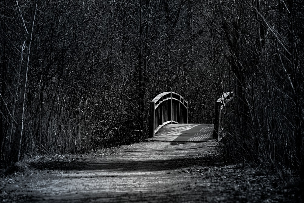 grayscale photo of wooden bridge