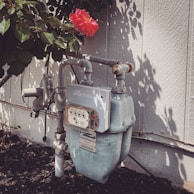 A gas meter with pipes is affixed to an exterior wall, surrounded by a garden. A single vibrant red flower with a yellow center is blooming above the meter, partially shaded by leaves.