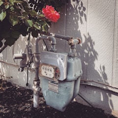 A gas meter with pipes is affixed to an exterior wall, surrounded by a garden. A single vibrant red flower with a yellow center is blooming above the meter, partially shaded by leaves.