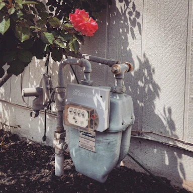 A friendly technician speaking with a homeowner beside a water meter in a sunny garden.