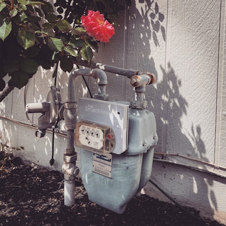 A gas meter with pipes is affixed to an exterior wall, surrounded by a garden. A single vibrant red flower with a yellow center is blooming above the meter, partially shaded by leaves.