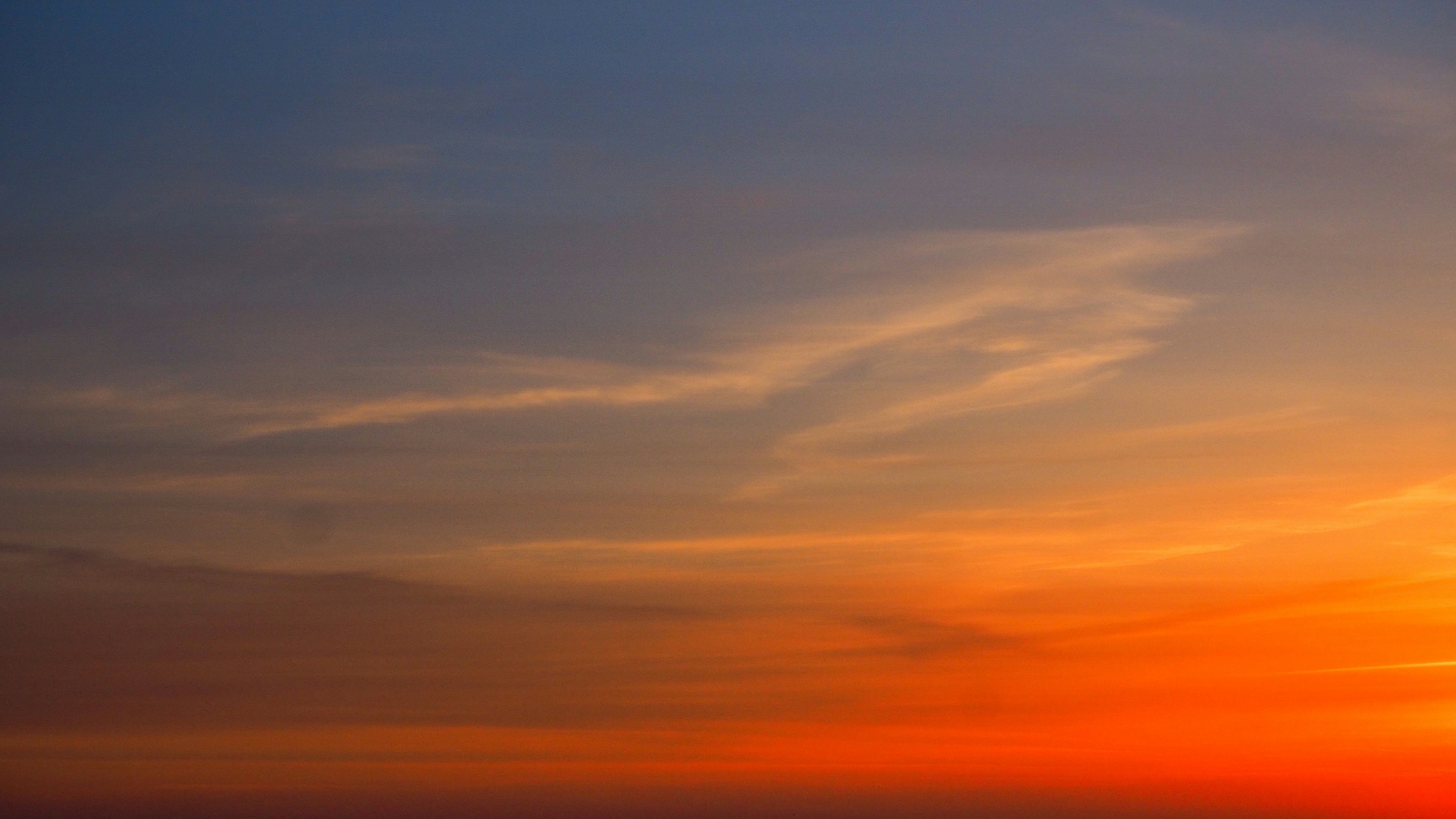 Photo by wimvanteinde