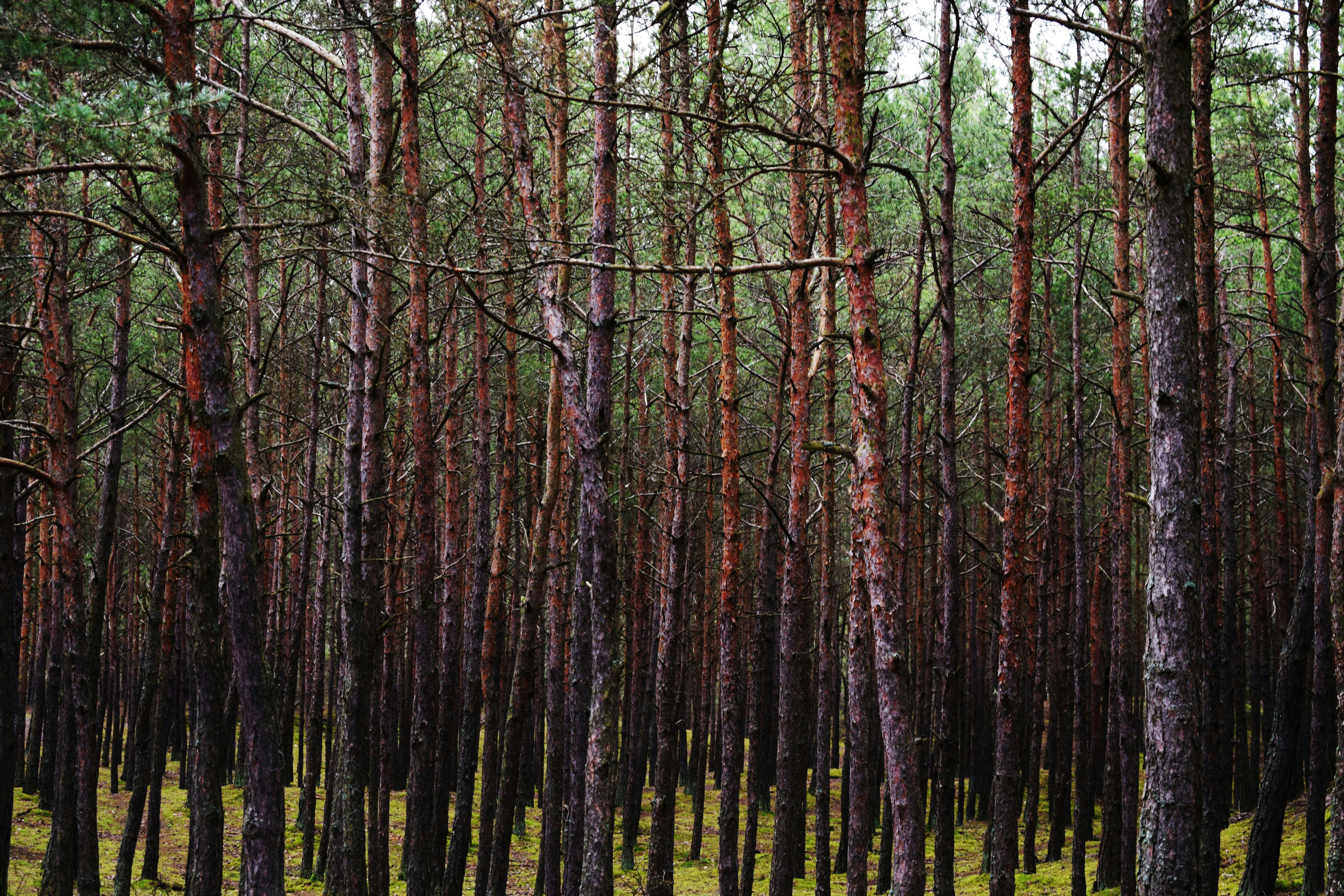 Photo by irene__papa