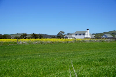 A spacious modern farmhouse surrounded by lush green fields under a clear blue sky.